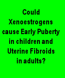 Xenoestrogens cause Early Puberty in Children and Uterine fibroid tumor ( myoma )s in Adults.